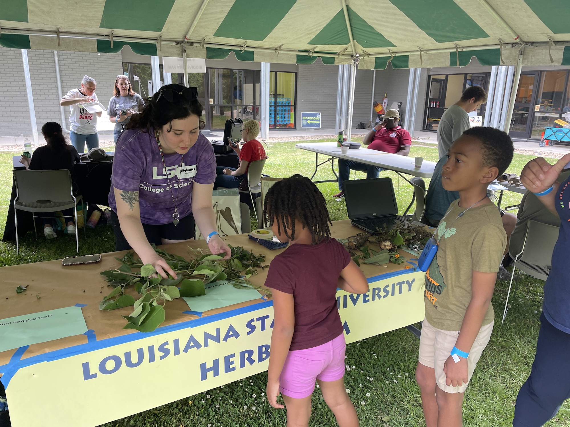 Olivia showing kids soft paper mulberry leaves display table at Bioblitz with children