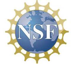 National Science Foundation logo