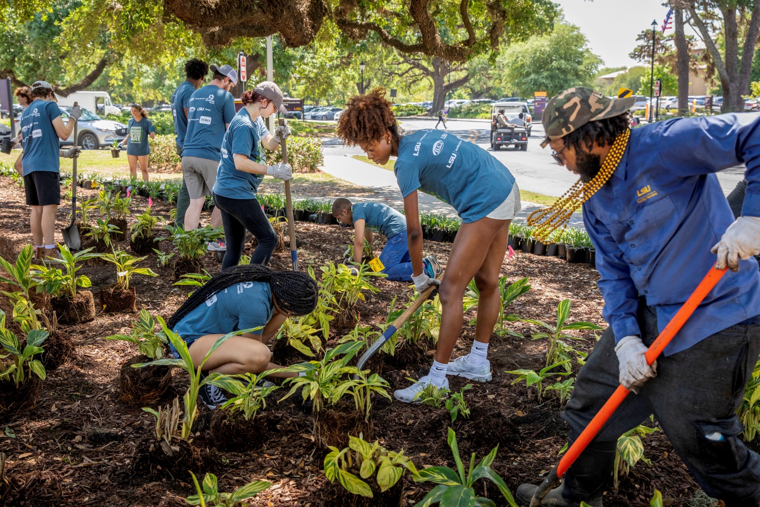 students planting native plants