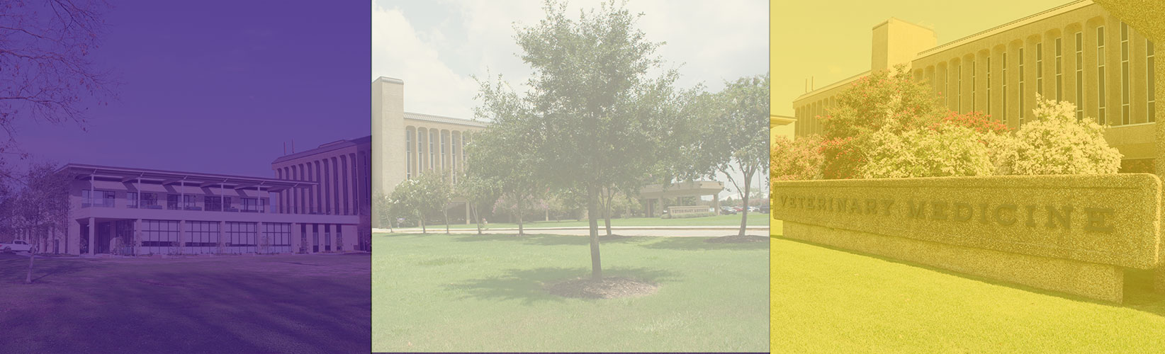 images of vet med building